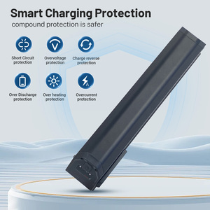 Paquete de batería de repuesto para bicicleta eléctrica de 48 voltios para Reention Dorado <span class=keywords><strong>Plus</strong></span> 48 V Ebike Kit de conversión eléctrica de litio con cargador - Product Image 5