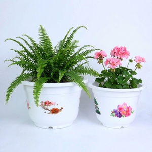 Pots à Bonsaï Asiatiques Traditionnels, Pots en Plastique Blanc Multi-Tailles avec Décorations Florales Personnalisées pour la Décoration Intérieure, Vente en Gros B2B - Product Image 1