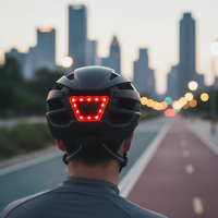 Casque de vélo pour adulte, OEM ODM, pour la ville, la montagne et la route, avec feu arrière LED rechargeable par USB