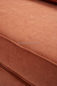 エレガントなベルベット圧縮真空ソファセットモジュラーリビングルームソファ家具Loveseatスタイルベッド付き - Product Image 6