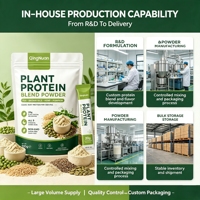 Poudre de mélange de protéines végétales en marque blanche OEM, sachet stick, protéines de pois, riz, chanvre, graines de courge, usine de protéines
