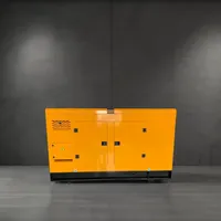 Générateur diesel silencieux 20 kVA 20 kW triphasé avec contrôleur manuel et protection automatique en promotion