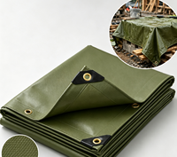 Bâche imperméable robuste, facile à nettoyer, résistante à la moisissure, couverture en PE, bâche anti-pluie