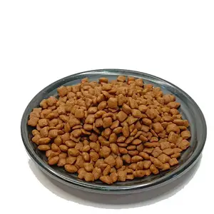 America FDA Certification Export High Protein Factory OEM ODM Delicious Dry Food Cat Safe Pet Food