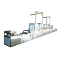 Four de séchage à micro-ondes industriel continu en acier inoxydable contrôlé par PLC avec économie d'énergie pour la transformation alimentaire