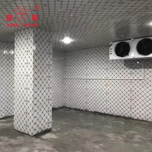 Cella frigorifera della frutta della camera di maturazione cella frigorifera di conservazione fresca con l'unità di condensazione del compressore - Product Image 1