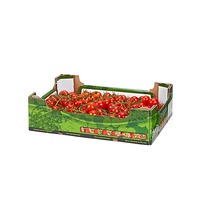 Cajas de Cartón de Diseño Personalizado al por Mayor para Venta, Envío y Exportación de Plátanos, Melocotones, Cerezas, Verduras y Frutas Frescas