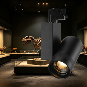 Projecteur LED motorisé à zoom sur <span class=keywords><strong>rail</strong></span>, avec angle de faisceau réglable et CRI élevé, <span class=keywords><strong>luminaire</strong></span> d'accentuation pour applications d'exposition muséale - Product Image 1
