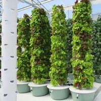 Tour de culture hydroponique verticale à 7 niveaux avec système de recirculation d'eau, en plastique ABS de qualité alimentaire, gain de place pour légumes-feuilles