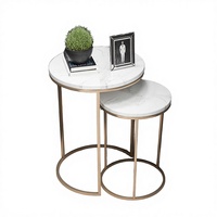 Premium Modernes Edelstahl-Couchtisch-Set mit Verstellbarer Höhe, Tragbarem Design, Umweltfreundlicher Holzplatte und Korrosionsschutz-Beschichtung