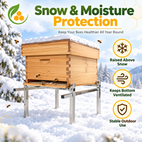 Support de ruche métallique toutes saisons pour extérieur, base de support de ruche, protection contre la pluie et la neige, équipement d'apiculture