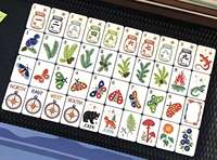Tuiles de Mahjong américaines Wildwood en acrylique, motif papillon bleu, écologiques et durables, avec tapis de Mahjong assorti – En stock, vente chaude
