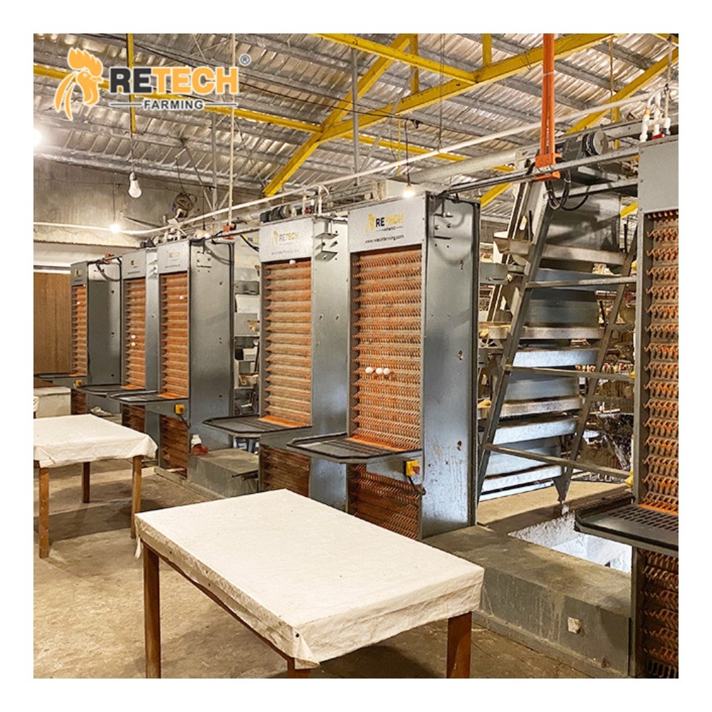 Matériel agricole Conception Couche De Poulet Cages D'oiseaux Poules Pondeuses