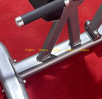 Banc d'extension du dos Chaise romaine 45 degrés Hyperextension Extension du dos réglable Banc d'entraînement Gym Fitness Musculation