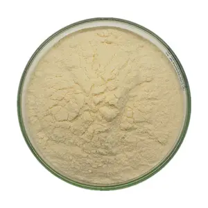 Extracto de ginseng de raíz de Panaxosides a granel 99% Ginsenoside Rg1 Rh2 Rg3
