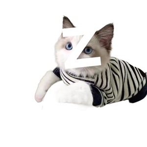 Vêtements pour chat de compagnie, sweat-shirt rayé, toutes saisons, vêtements de loisirs confortables pour chat britannique à poils courts Ragdoll - Product Image 5