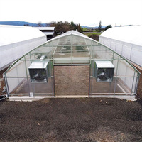 Serres à structure gothique à tunnel haut économique pour la culture de légumes et de tomates, serre à arche en film