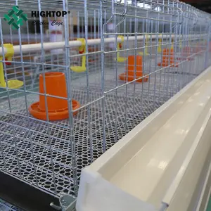China (continental) fabricación H tipo avicultura jaula construir engorde gallineros