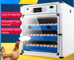 220V Egg Incubators <strong>Brooder</strong> Bird Quail Chick Hatchery Incubator Incubators Hatching Eggs <strong>Automatic</strong> Tools - Product Image 4