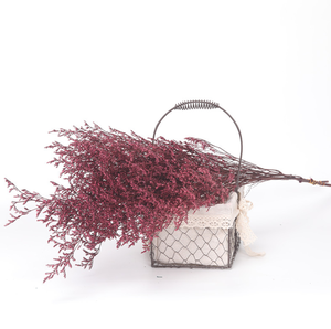 Vente en gros de fleurs de Limonium conservées et d'herbe de <span class=keywords><strong>Desmodium</strong></span> <span class=keywords><strong>Gyrans</strong></span> séchée du fournisseur du Yunnan pour les occasions de remise de diplômes de la Saint-Valentin - Product Image 6