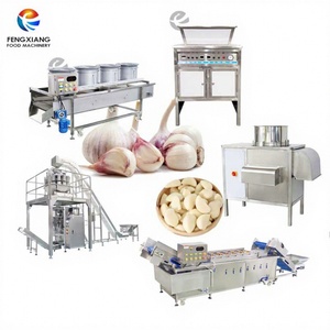 Ligne de production automatique d'ail : machine de séparation, d'épluchage, de lavage, de séchage à l'air et d'emballage de l'ail en Indonésie - Product Image 1