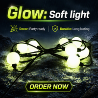 Boule lumineuse LED RGB adressable de 50 mm, programmable SPI DMX, étanche IP67, éclairage décoratif extérieur permanent pour aménagement paysager
