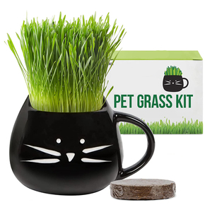 Produttore diretto Petlinks Nibble <span class=keywords><strong>Licious</strong></span> Organic Cat Grass tool set Kit - Product Image 1