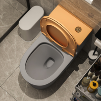 Inodoro de Cerámica de Lujo a Precio Económico, Sanitarios de Alta Gama, Inodoro Gris, Inodoro de Pie para Baño