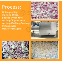 HRTY Hoge Efficiëntie Ondersteunende Aangepaste Fruit- en Groenteverwerkingsmachine voor Fabrieken