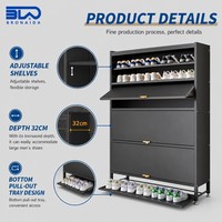 Meuble à chaussures relevable en métal avec support OEM/ODM, profondeur 32 cm, avec plateau inférieur, idéal pour les petites pièces et l'hôtellerie