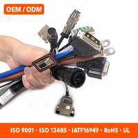 Perakitan Kabel Kustom OEM ODM Berkualitas Tinggi untuk Peralatan Industri, Medis, dan Otomotif, Konektor & Panjang yang Dapat Disesuaikan
