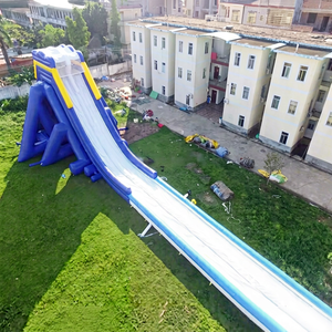 Large Outdoor Inflatable Water <b>Slide</b> NB001-5 PVC Material Commercial Use 3 Year Warranty Customized Color - Product Image 1