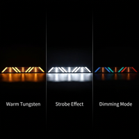 Éclairage de scène rétro LED DMX512 pour concert, événement, théâtre, mariage, effet de filament de tungstène blanc chaud