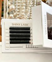 Ekstensi Bulu Mata Bentuk W Laris Manis, Bulu Mata Palsu Anyaman Multi-level, Matte Black Clover Individual Double-layer Y 3D 4D W Lashes
