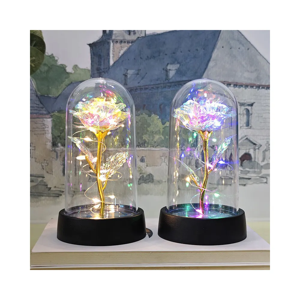 Novelty gift eternal rose flowers glass dome LED light galaxy rose for mothers day gift