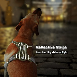 Pengekang Anjing Reflektif Tanpa Tarikan Kualitas Tinggi dengan Gesper Tahan Lama - Product Image 6
