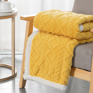 مخصص لينة رمي دافئ لينة رمي بطانية اضافية الفانيلا صوف رمي سميكة رقيق بالإضافة إلى بطانية صوف عكسها - Product Image 2