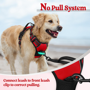 Harnais pour chien de grande taille, respirant, réfléchissant, multi-designs, vente en gros du fabricant - Product Image 4