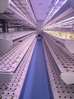 100% Maisons préfabriquées modernes à énergie solaire sur mesure Conteneur fonctionnel Serre hydroponique Systèmes de culture verte avec cadre en métal