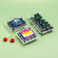 Boîtes d'emballage jetables pour fruits, boîtes à clapet transparentes pour myrtilles, boîtes de protection pour myrtilles en gros
