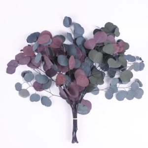 Ouverture d'un nouveau magasin: plante d'<span class=keywords><strong>eucalyptus</strong></span> en argent dollar décoration plante en feuille d'<span class=keywords><strong>eucalyptus</strong></span> en soie utilisée pour la décoration de mariage - Product Image 1