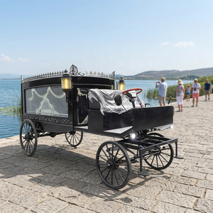 Carroza Fúnebre Eléctrica Negra de Bajo Precio, Vehículo Nuevo Personalizable para Servicios Funerarios - Product Image 1