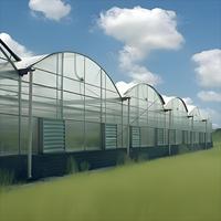 Invernadero Grande para Exteriores de Policarbonato, con Estructura de Acero y Láminas de PC de Múltiples Paneles, para Agricultura, Turismo, Secado de Plantas e Hidroponía