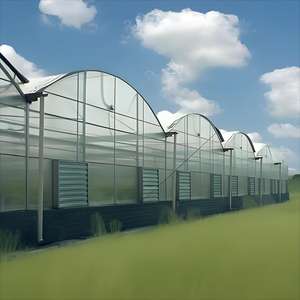 ورقة كبيرة من البولي كاربونات الدفيئة الخارجية متعددة الامتداد من كلوريد البولي فينيل لمشاهدة معالم المدينة الزراعية وغرفة تجفيف النباتات ميزة الزراعة المائية - Product Image 5