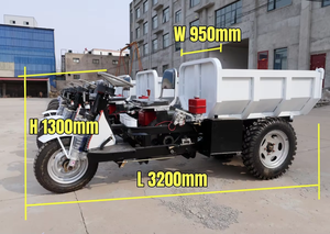 साइकिल कार्गो मोटर <span class=keywords><strong>3</strong></span> पहिया डीजल डंप ट्रक डीजल इंजन कृषि कार्गो ट्राइसाइकिल 1.5टन बिक्री के लिए - Product Image 6