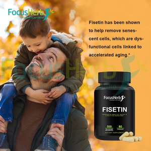 FocusHerb OEM ผงฟิเซติน ลิโปโซมอลฟิเซตินในรูปแบบแคปซูล 500 มก. แคปซูลฟิเซติน - Product Image 2