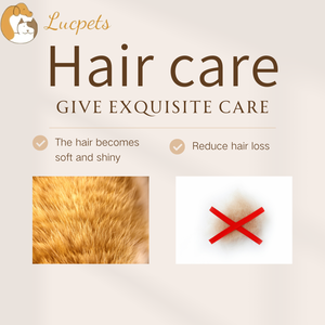 زيت السمك أوميغا 3 مكمل غذائي للكلاب والقطط - لصحة الجلد والفراء العضوي ودعم المناعة - Product Image 4