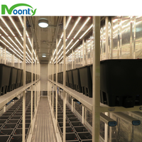 Serres agricoles Système hydroponique Conteneur Fermes verticales Agriculture Système hydroponique NFT pour laitue/Verts