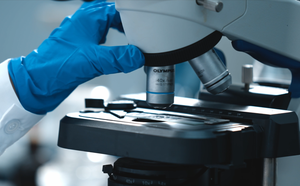 Aditivos para piensos fermentados <span class=keywords><strong>Bio</strong></span> Earn Aditivos para piensos para peces Promotores del crecimiento Bacillus Subtilis Regula el intestino - Product Image 4