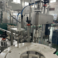 Remplisseuse de liquide linéaire entièrement automatique pour sauce soja spiritueux jus Gin vin vodka tequila remplisseur de bouteille ligne de capsulage